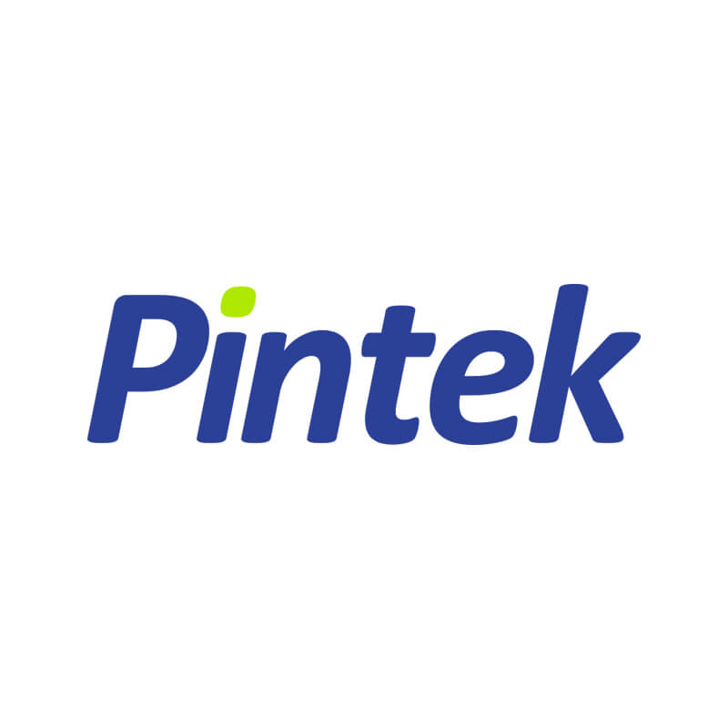 Pintek logo