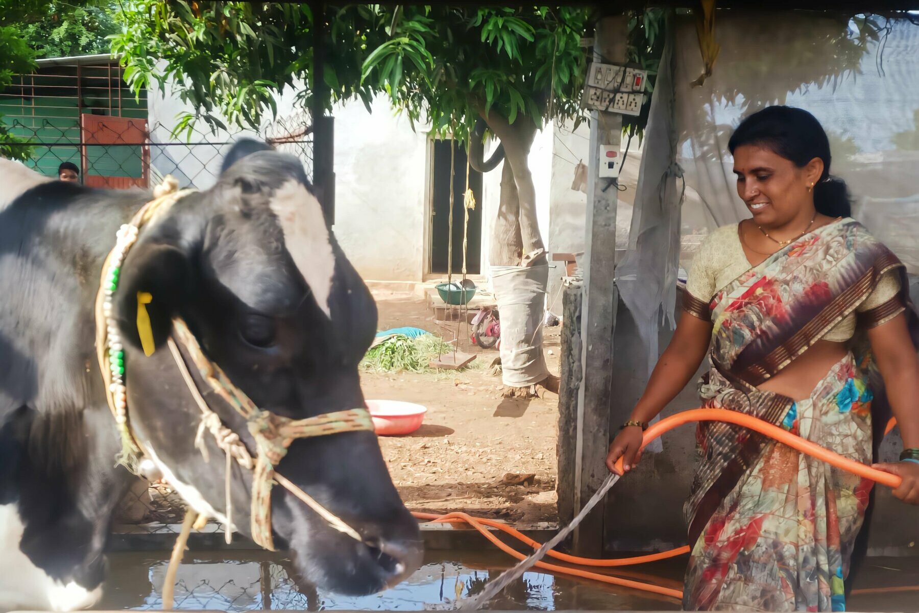 Vidya Nanawara from Vidani village in Satara district of Maharashtra