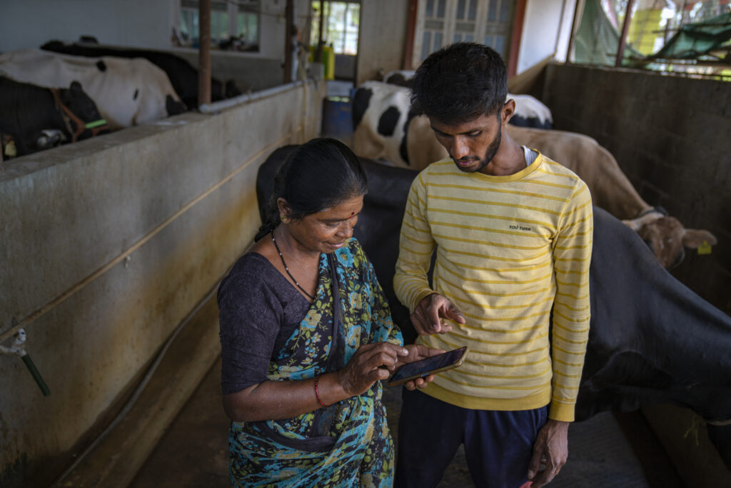 A woman and a man looking at their phone in a cattle shed.