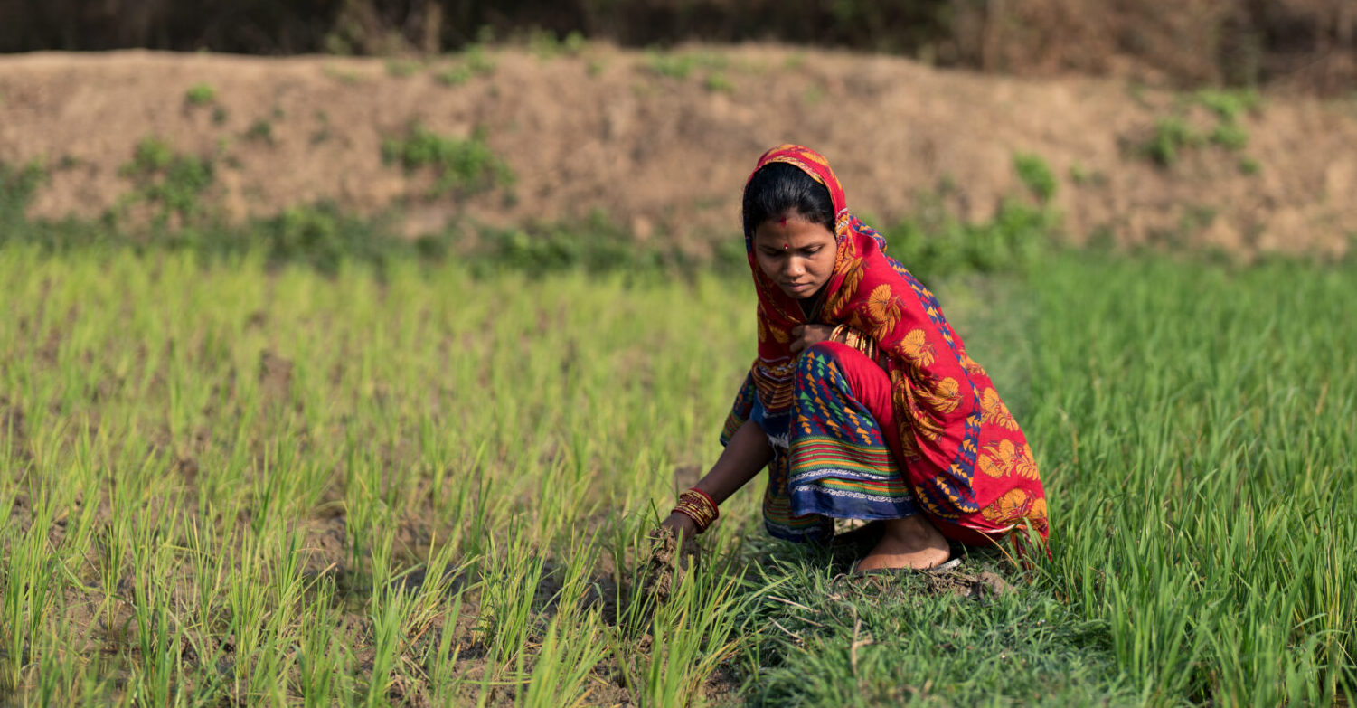 Manashi Pradhan (mother; 26 years old) at her rice farm in Tarakai, Khordha, State of Odisha, India.