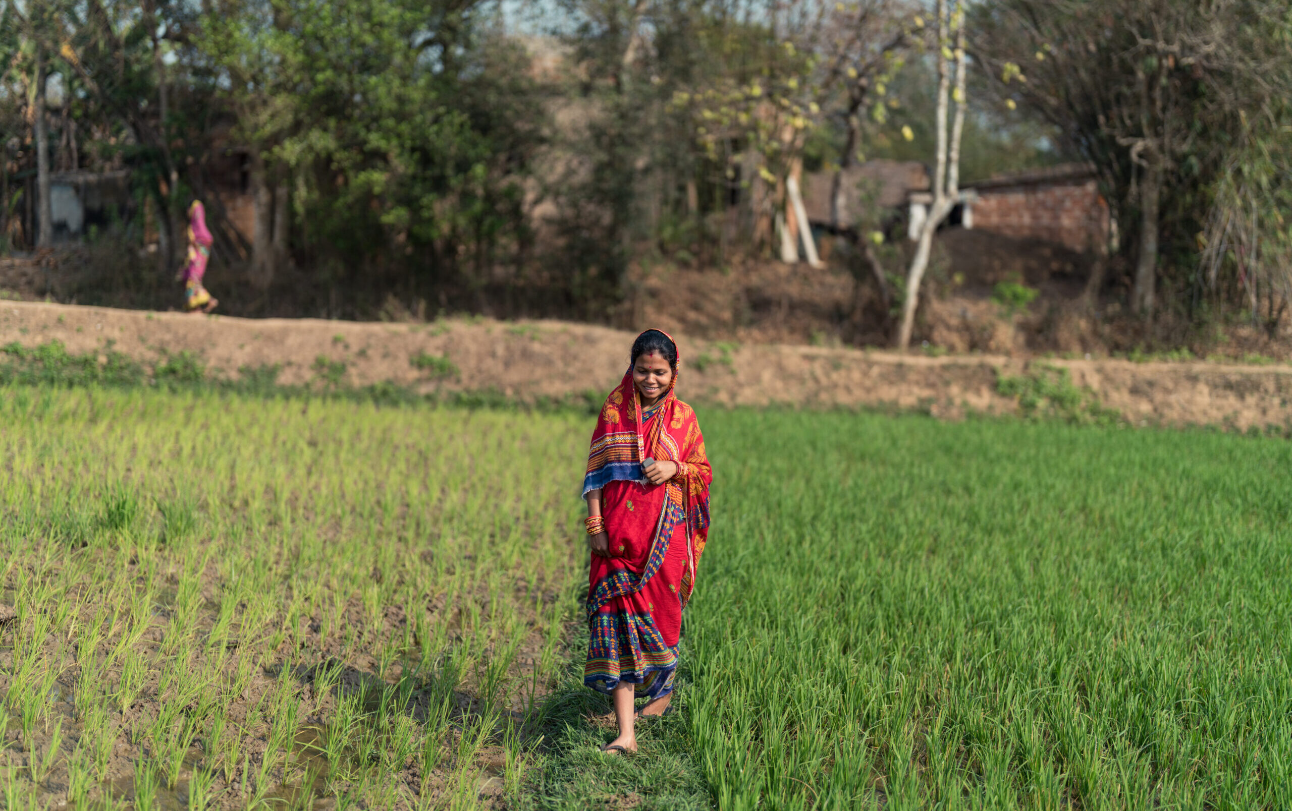 Manashi walks through her paddy field.