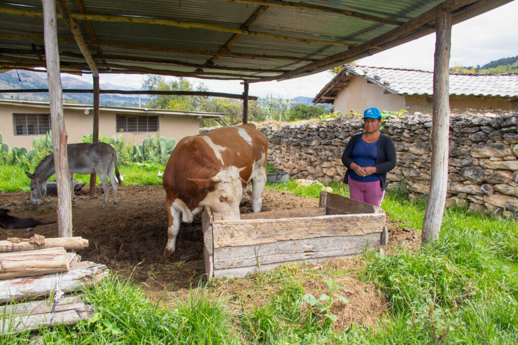 Yolita Tocas Lopez, livestock farmer and Los Andes customer in Peru